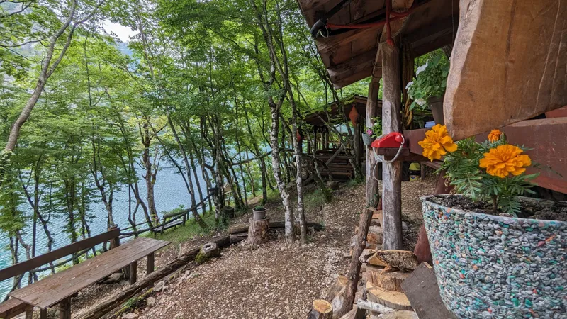 Immerse yourself in nature with a cruise on Piva Lake, including snacks (departure from Pluzine)