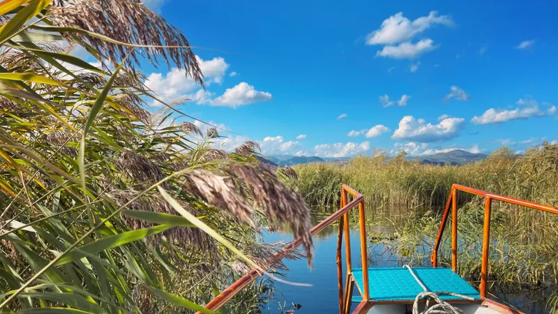 Cruise on Lake Skadar (group cruise)