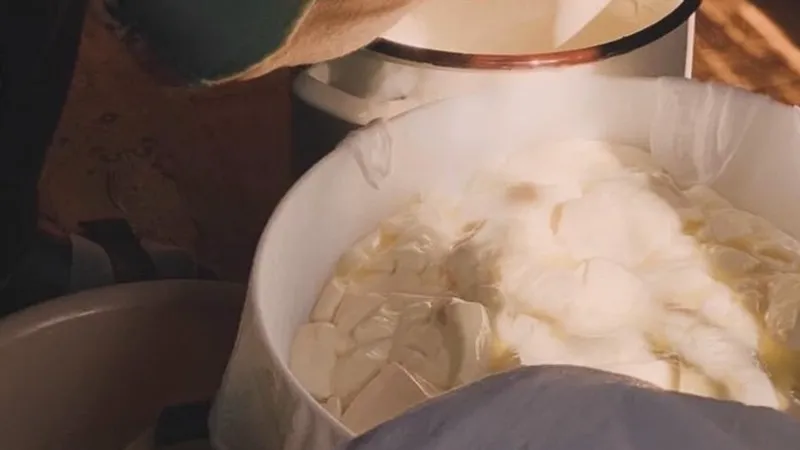 Learn how cheese is made: Discover tradition and visit the Pipović farm