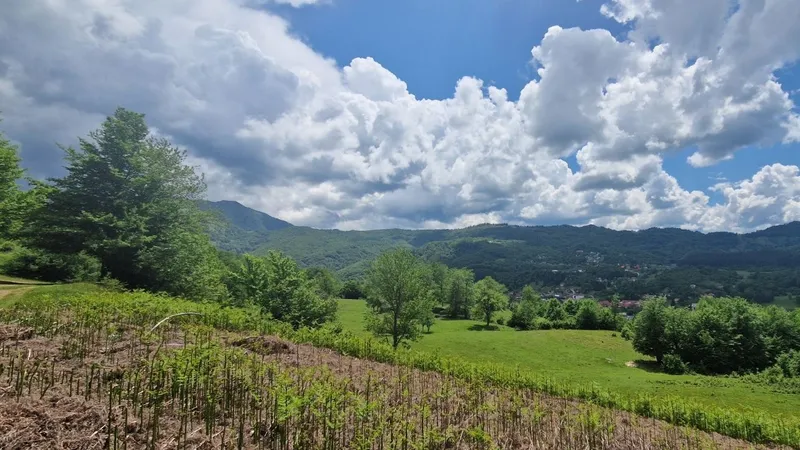 Hiking Bašanje brdo