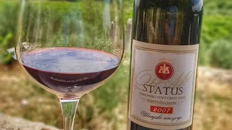Dvije vrste vina i predjelo će vam ispričati kratku vinsku priču naše vinarije