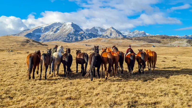 Experience the adventures of Durmitor and the freedom of horseback riding